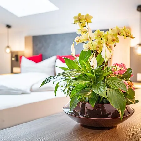 Hotel & Adersberg Chiemgau Card Kostenfrei 3*